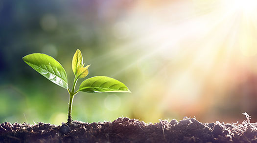 investor investor relations