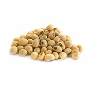soymilk soy beans
