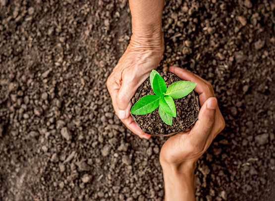 sustainability2 environmental sustainability